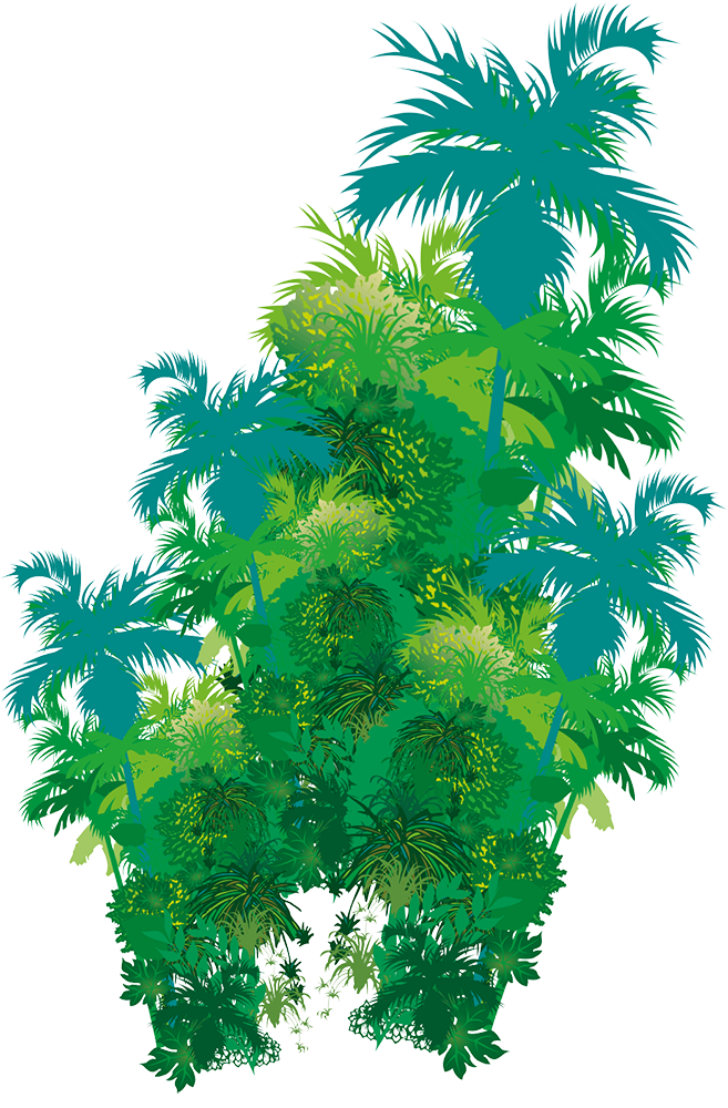 Palmen im LALO Center